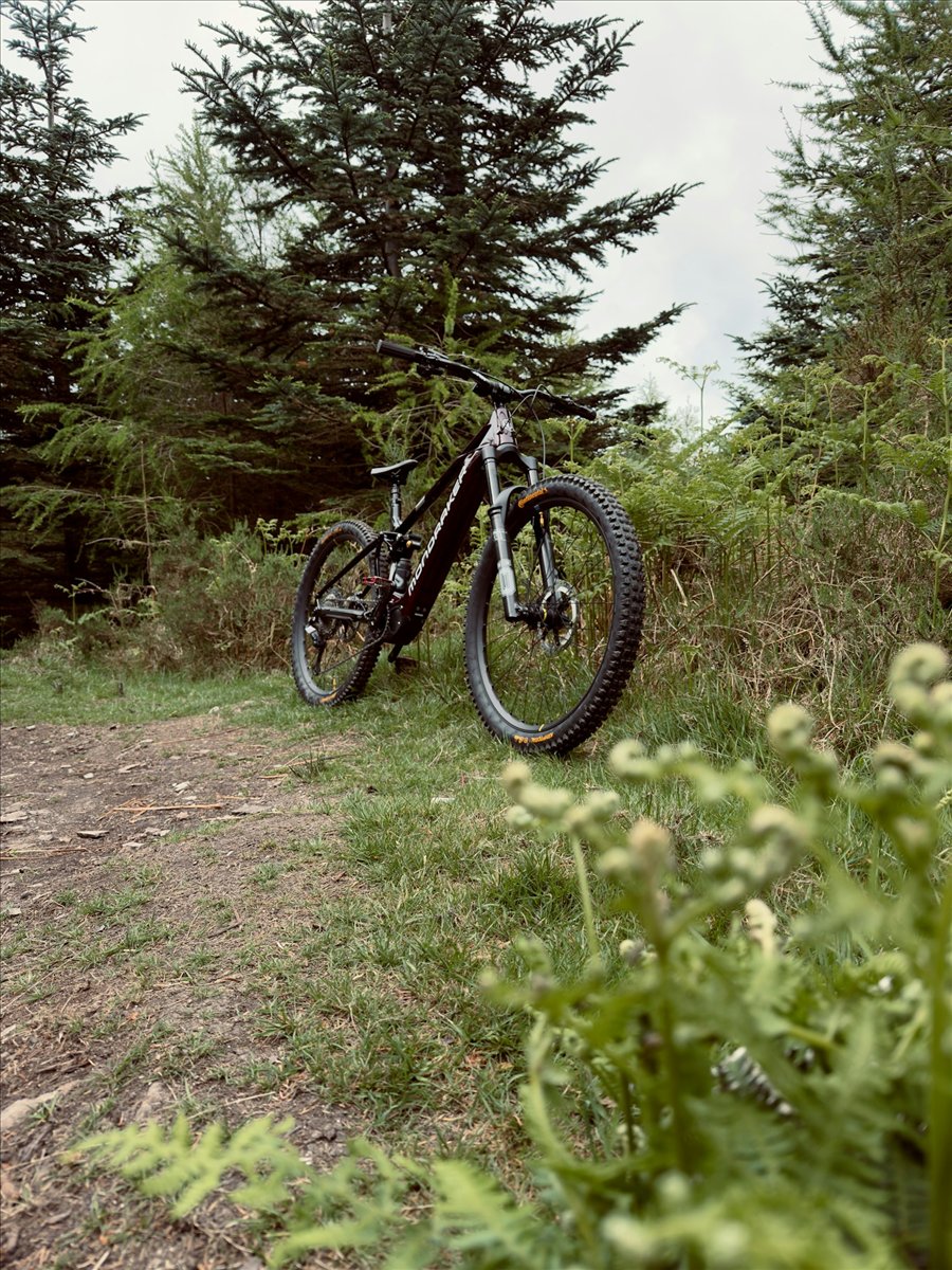 Erwin Park — McKinney